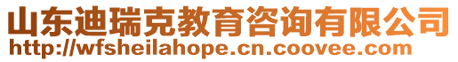 山東迪瑞克教育咨詢有限公司