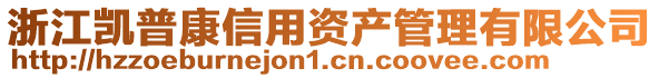 浙江凱普康信用資產管理有限公司