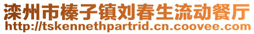 滦州市榛子镇刘春生流动餐厅