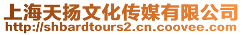 上海天揚(yáng)文化傳媒有限公司