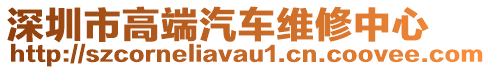 深圳市高端汽車維修中心