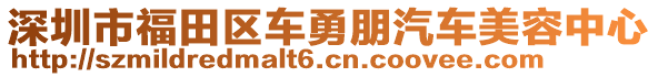 深圳市福田區(qū)車勇朋汽車美容中心