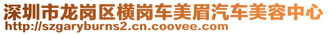 深圳市龍崗區橫崗車美眉汽車美容中心