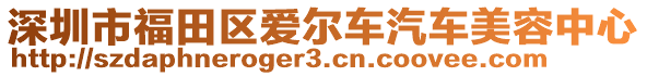 深圳市福田區(qū)愛爾車汽車美容中心