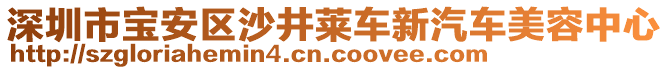 深圳市寶安區(qū)沙井萊車新汽車美容中心