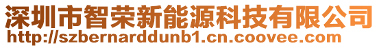 深圳市智榮新能源科技有限公司