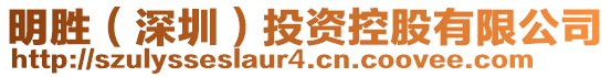 明勝(深圳)投資控股有限公司