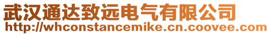 武漢通達致遠電氣有限公司
