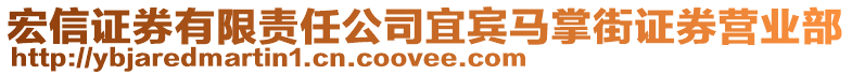 宏信證券有限責任公司宜賓馬掌街證券營業部