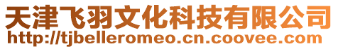 天津飛羽文化科技有限公司