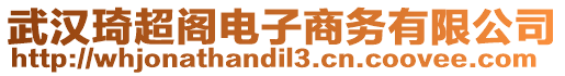 武漢琦超閣電子商務有限公司