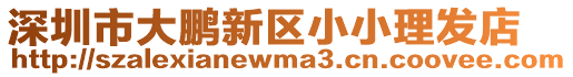 深圳市大鵬新區(qū)小小理發(fā)店