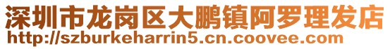深圳市龍崗區大鵬鎮阿羅理發店