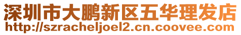 深圳市大鵬新區(qū)五華理發(fā)店