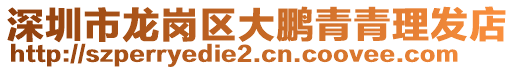深圳市龍崗區大鵬青青理發店
