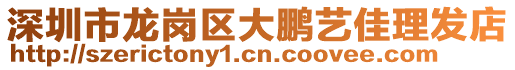 深圳市龍崗區大鵬藝佳理發店