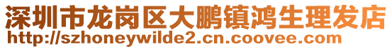 深圳市龍崗區大鵬鎮鴻生理發店