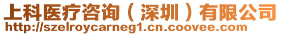 上科醫療咨詢（深圳）有限公司