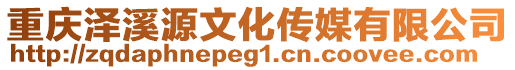 重慶澤溪源文化傳媒有限公司