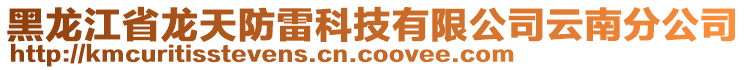黑龍江省龍天防雷科技有限公司云南分公司