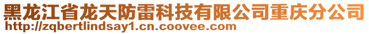 黑龍江省龍天防雷科技有限公司重慶分公司