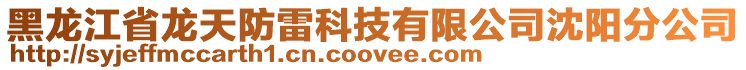 黑龍江省龍天防雷科技有限公司沈陽分公司
