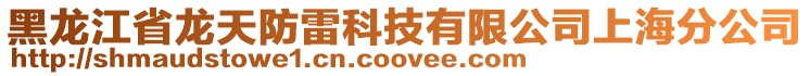 黑龍江省龍天防雷科技有限公司上海分公司