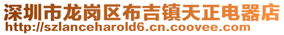 深圳市龍崗區布吉鎮天正電器店