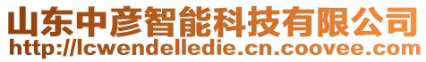 山東中彥智能科技有限公司