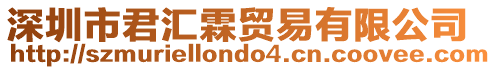 深圳市君匯霖貿(mào)易有限公司