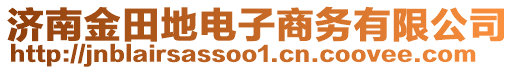 濟南金田地電子商務有限公司
