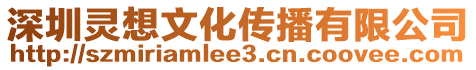 深圳靈想文化傳播有限公司
