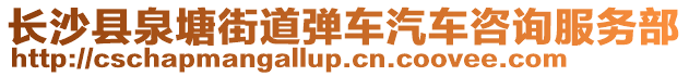 長沙縣泉塘街道彈車汽車咨詢服務部