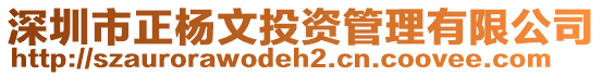 深圳市正楊文投資管理有限公司