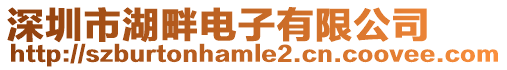 深圳市湖畔電子有限公司