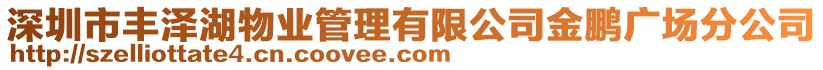 深圳市豐澤湖物業(yè)管理有限公司金鵬廣場(chǎng)分公司