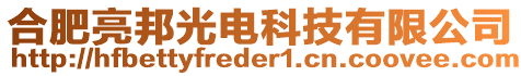 合肥亮邦光電科技有限公司