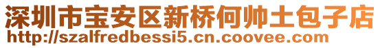 深圳市寶安區(qū)新橋何帥土包子店