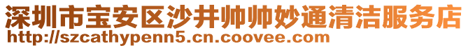 深圳市寶安區(qū)沙井帥帥妙通清潔服務店