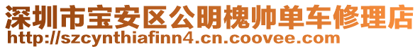 深圳市寶安區(qū)公明槐帥單車修理店