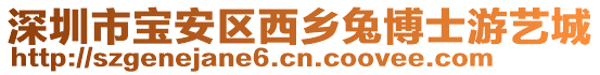 深圳市寶安區(qū)西鄉(xiāng)兔博士游藝城