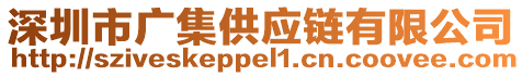 深圳市廣集供應鏈有限公司