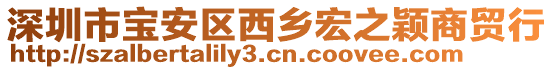 深圳市寶安區(qū)西鄉(xiāng)宏之穎商貿(mào)行