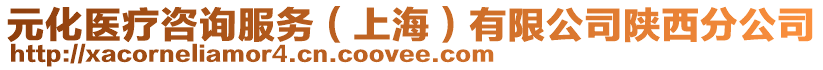 元化醫(yī)療咨詢服務(wù)（上海）有限公司陜西分公司