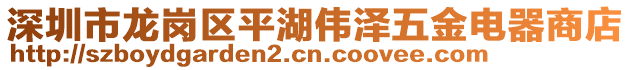 深圳市龍崗區(qū)平湖偉澤五金電器商店