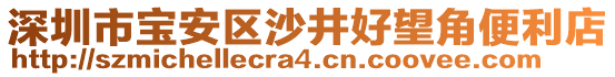 深圳市寶安區(qū)沙井好望角便利店