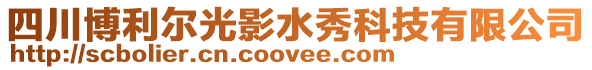 四川博利爾光影水秀科技有限公司