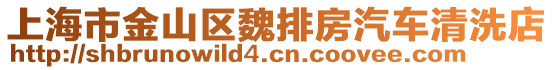 上海市金山區魏排房汽車清洗店