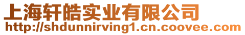 上海軒皓實業有限公司