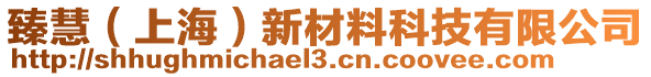 臻慧（上海）新材料科技有限公司